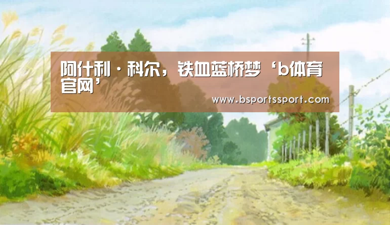 b体育官网