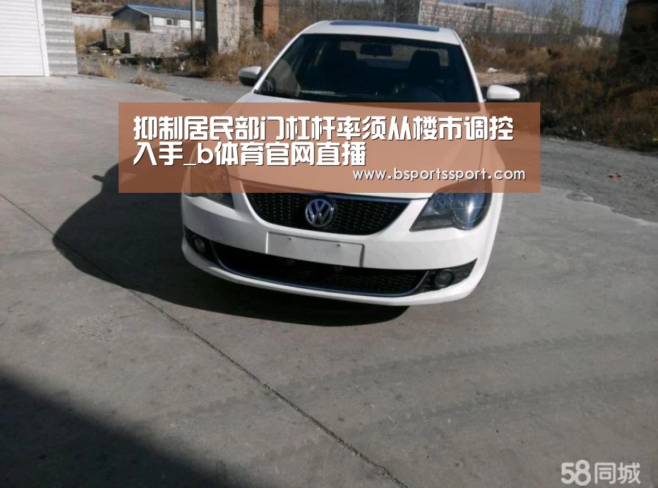 抑制居民部门杠杆率须从楼市调控入手_b体育官网直播(图3) b体育官网