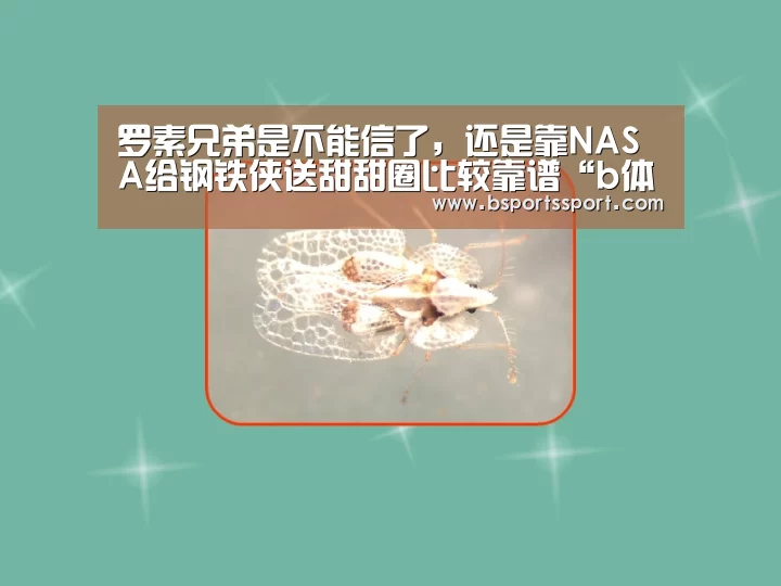 罗素兄弟是不能信了,还是靠NASA给钢铁侠送甜甜圈比较靠谱“b体育官网直播”(图3) b体育官方入口