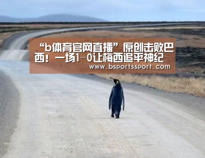 b体育官网直播