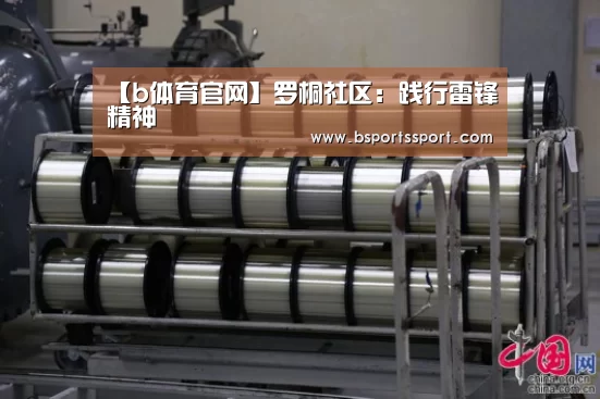 【b体育官网】罗桐社区:践行雷锋精神(图2) b体育官网直播